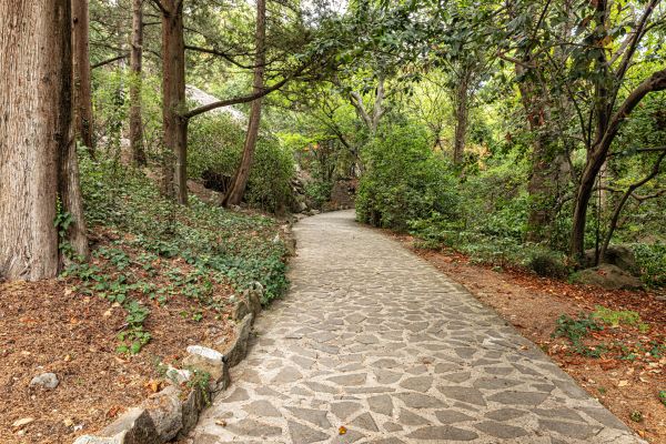 Stone Walkway Repair in Evanston