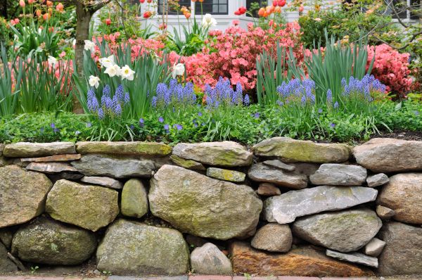 Stone Wall Hardscaping in Evanston