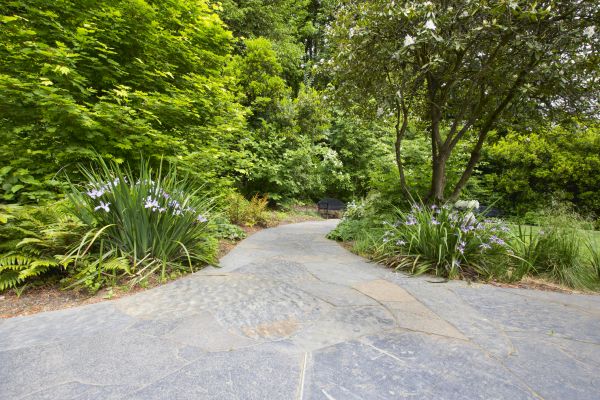 Stone Hardscape Service in Evanston